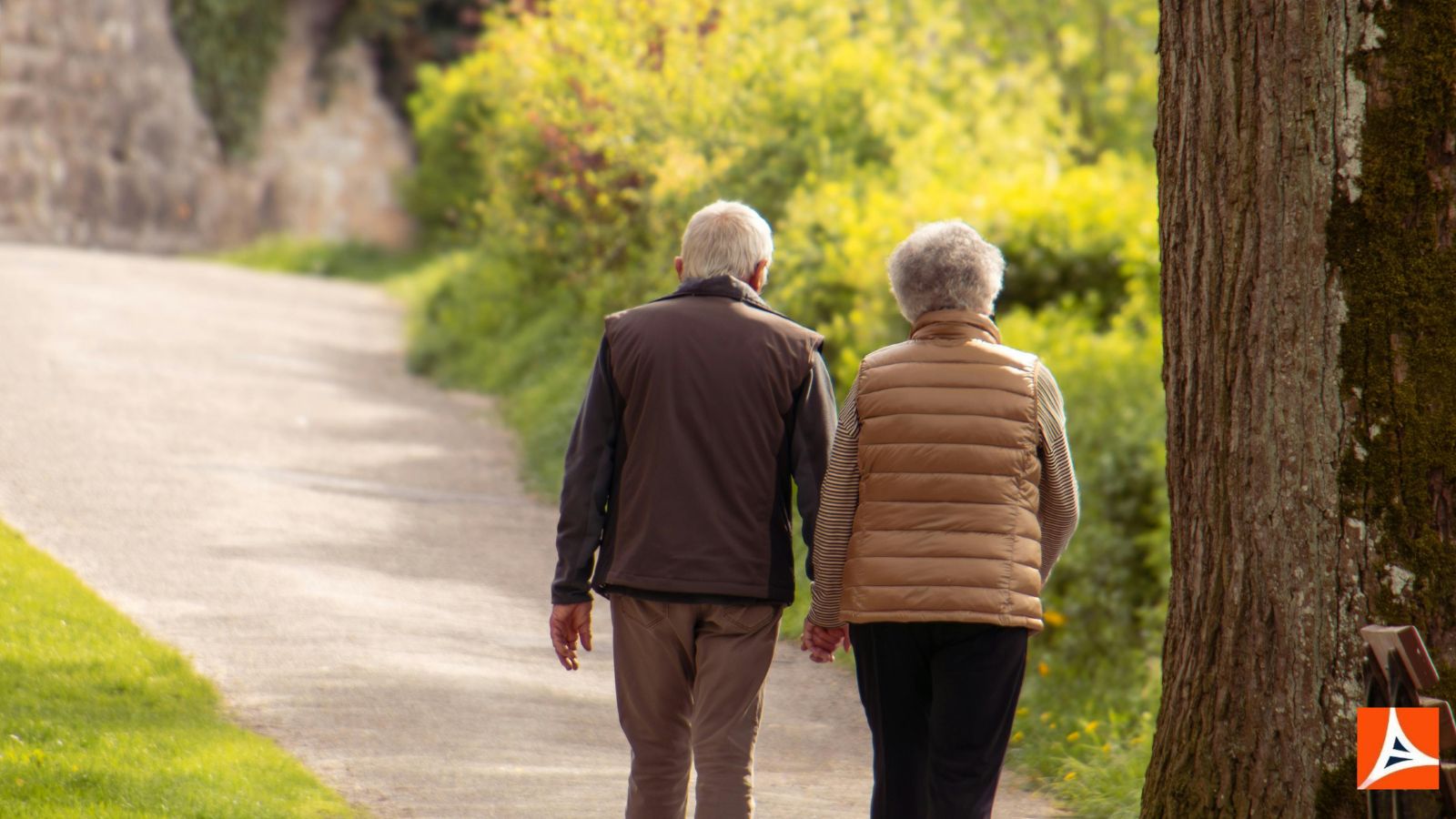 Pension Planning for Business Owners